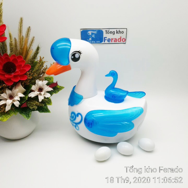 Thiên nga đẻ trứng